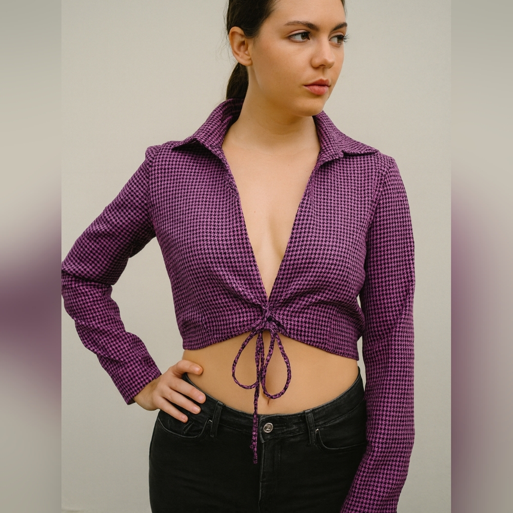 Zara purple long sleeves V neck, houndstooth polo crop top